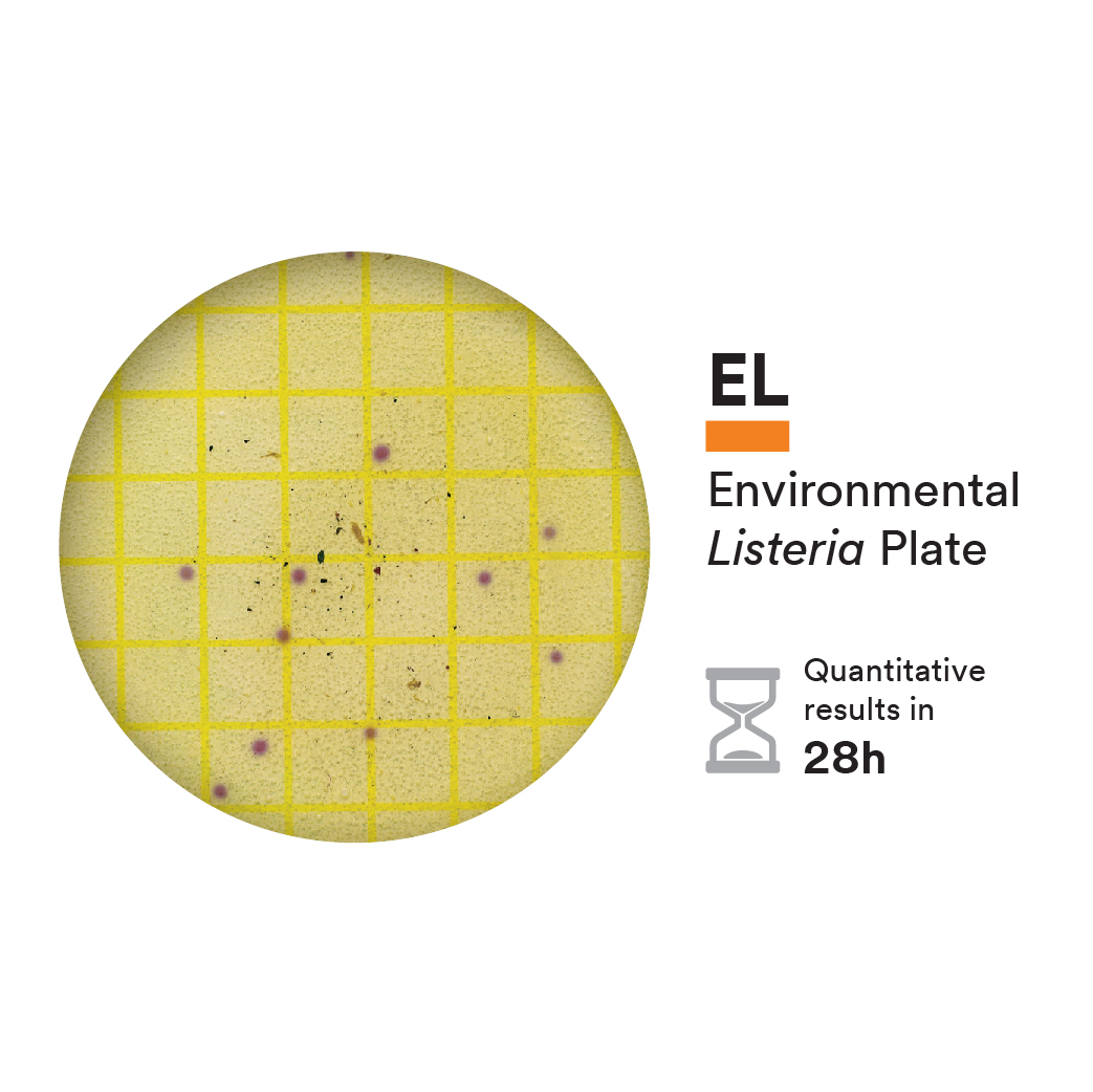 Environmental Listeria Plates with incubation