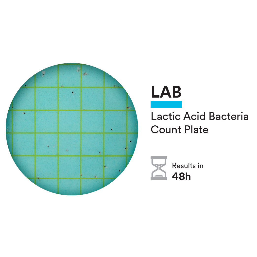 Lactic Acid Bacteria with Incubation Details