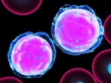 leukaemia-cells