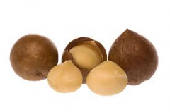macadamia-nut