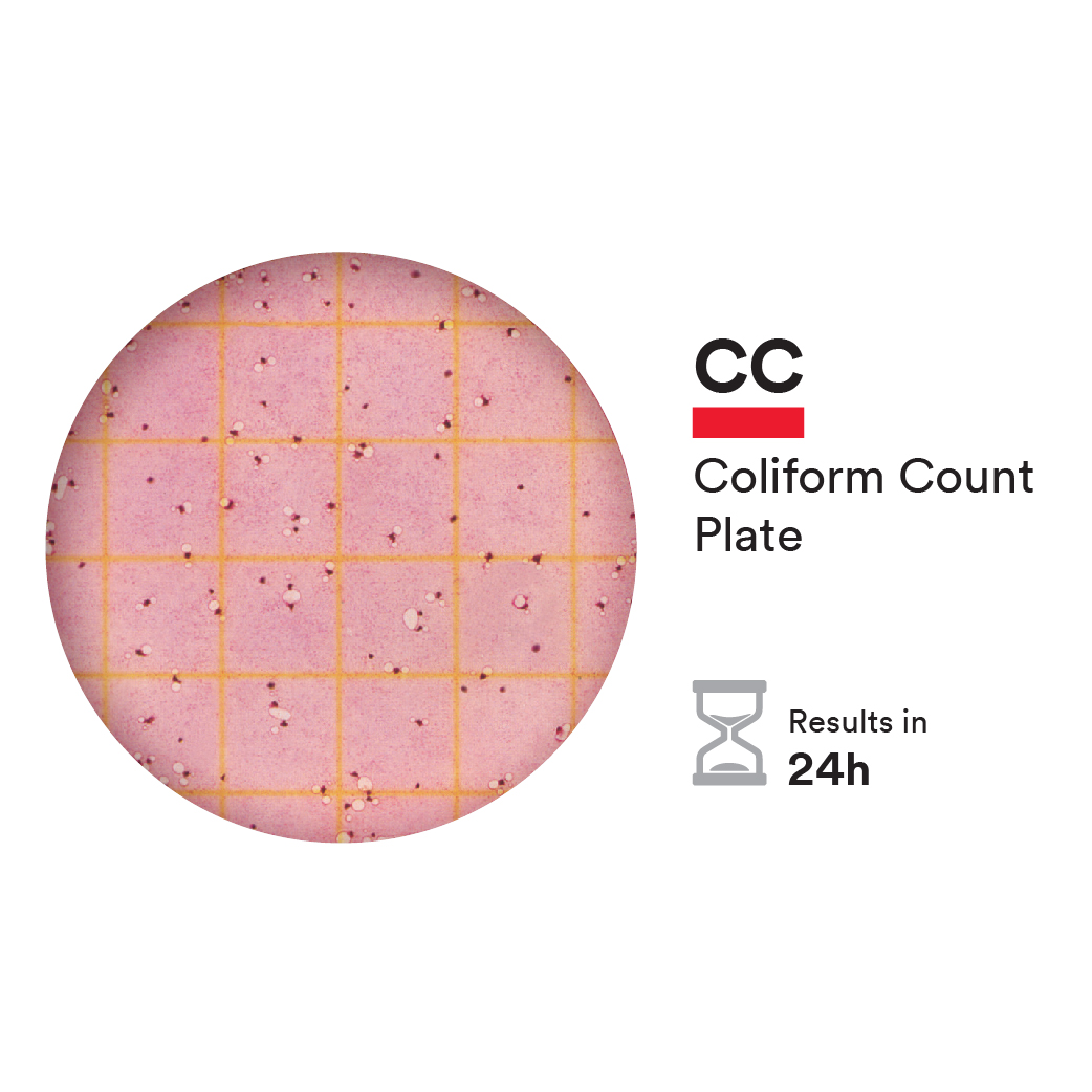 Total Coliforms Petrifilm Coliform Count Plate 11684 | Hot Sex Picture