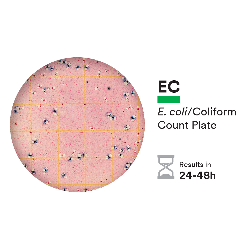 E.Coli Coliform plate with incubation time