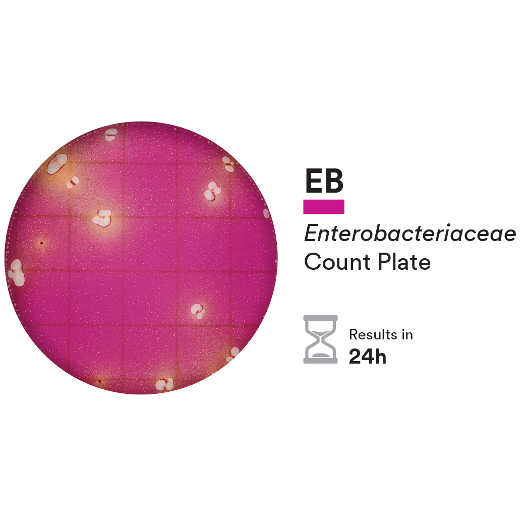 EB Enterobacteriaceae with incubation time