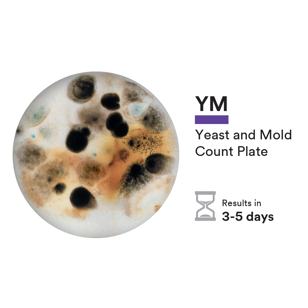 Yeast and Mould Plate with Incubation